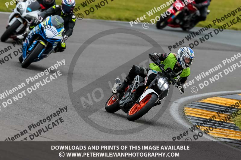 PJ Motorsport 2019;anglesey no limits trackday;anglesey photographs;anglesey trackday photographs;enduro digital images;event digital images;eventdigitalimages;no limits trackdays;peter wileman photography;racing digital images;trac mon;trackday digital images;trackday photos;ty croes